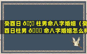 癸酉日 🦋 柱男命八字婚姻（癸酉日柱男 🐋 命八字婚姻怎么样）
